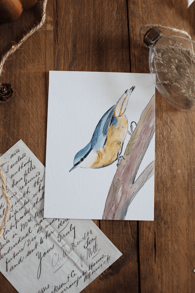 La Sitelle - carte postale