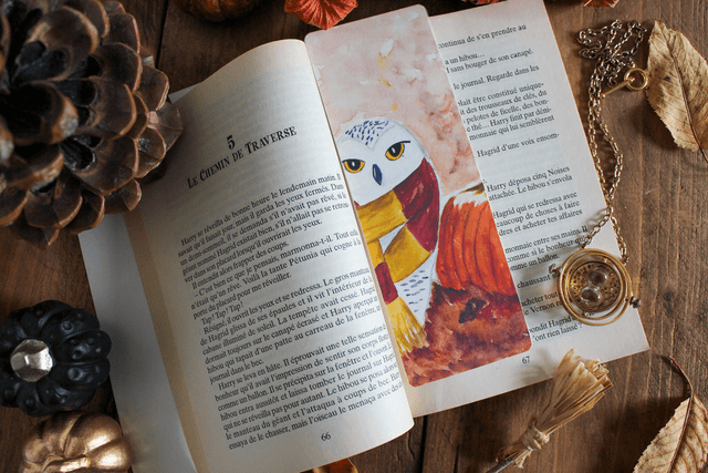Hedwige et sa citrouille - marque-page