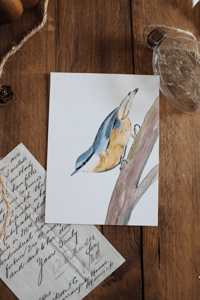 La Sitelle - carte postale
